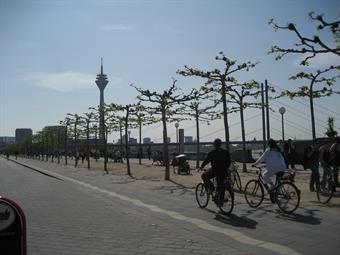 Rhine promenade 